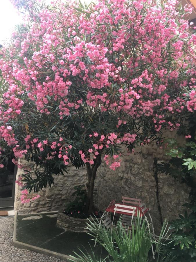 Chambre Sur Jardin Secret - Avignon Centre - Climatisee 외부 사진